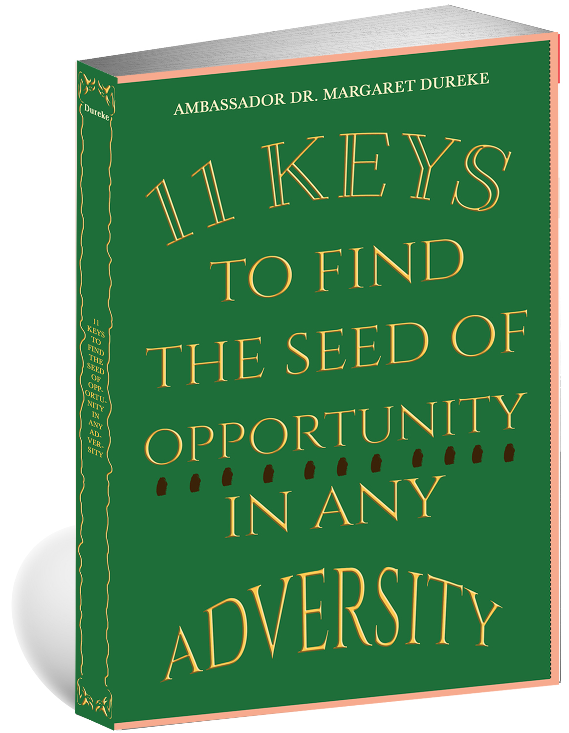 11 Keys to Find the Seed of Opportunity in Any Adversity